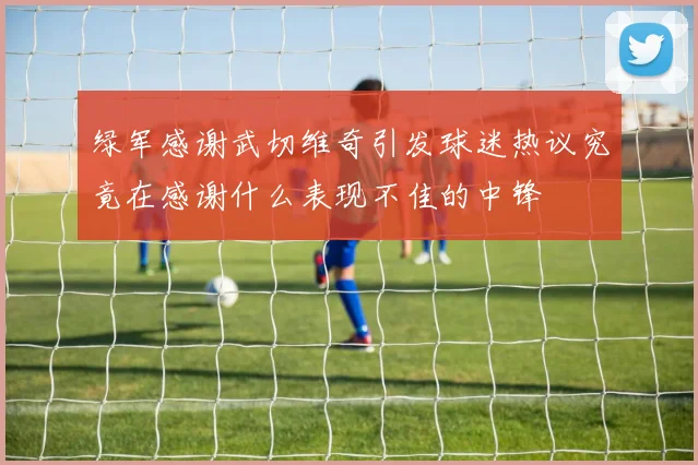 绿军感谢武切维奇引发球迷热议究竟在感谢什么表现不佳的中锋